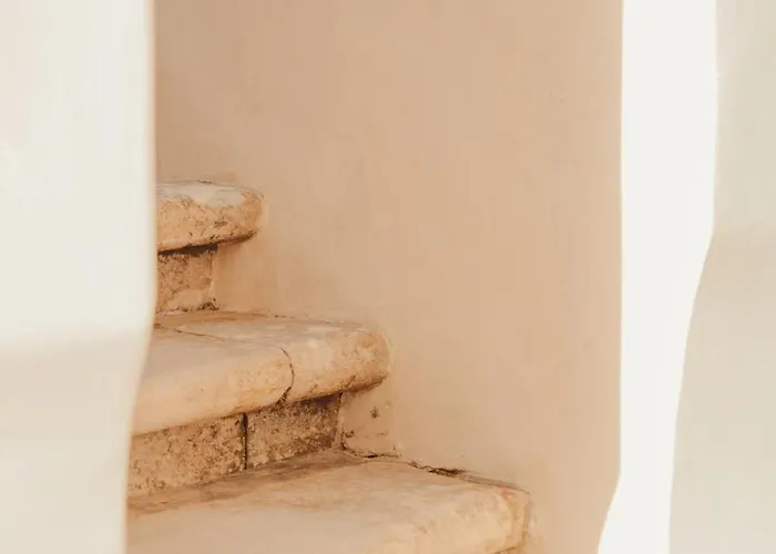 Collares Petit Palais