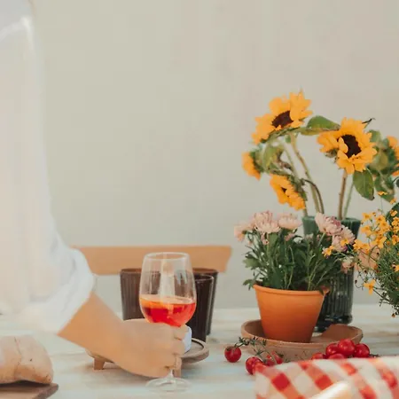 Villa Collares Petit Palais Sintra