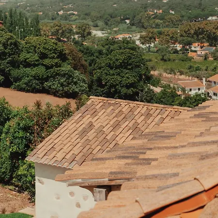 Vila Collares Petit Palais Sintra