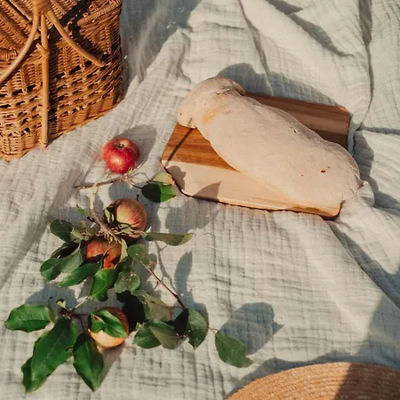 Collares Petit Palais *