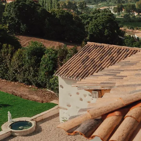 Vila Collares Petit Palais