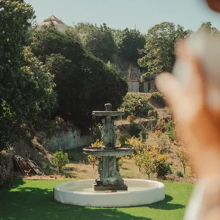 Collares Petit Palais *