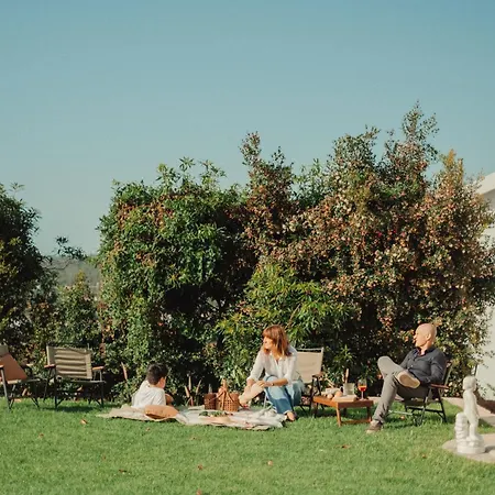 Collares Petit Palais *