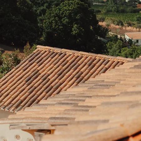 Collares Petit Palais Sintra