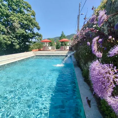 Collares Petit Palais Vila *