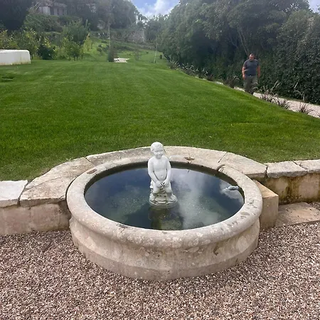 Collares Petit Palais Vila