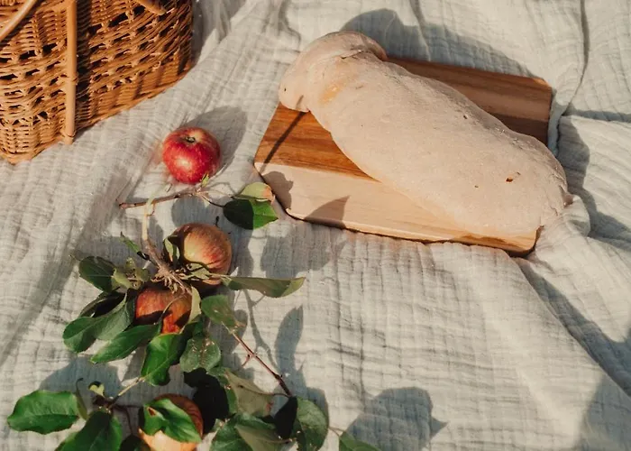 Collares Petit Palais *