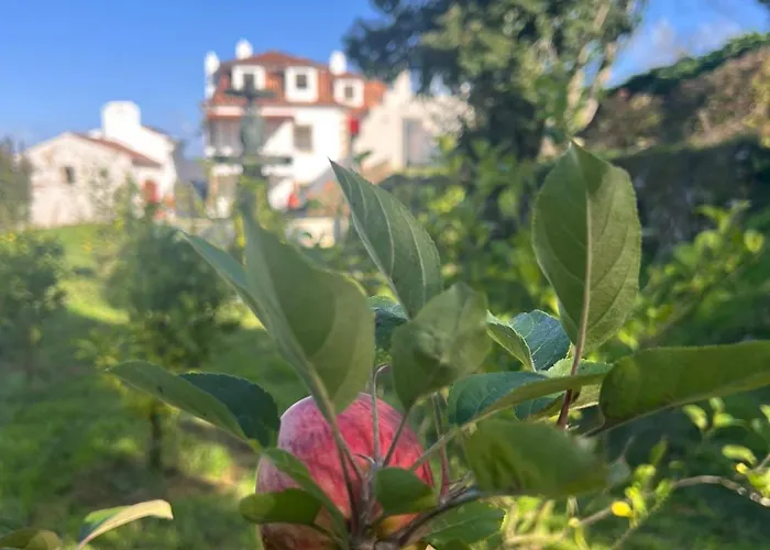 Collares Petit Palais Sintra